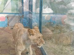 -大连森林动物园