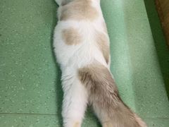 -藦茜花园宠物主题亲子互动体验馆(国顺东路店)