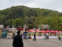 -团城山公园