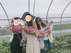 -铁山坪森林公园