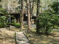 -林间山庄