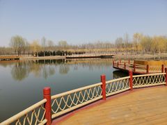 -东郊湿地公园