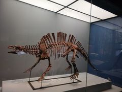 -湖南省地质博物馆