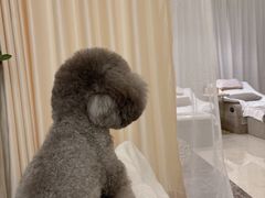 -悦耳坊采耳馆(钻石广场店)