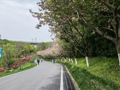 -金陵矩阵(聚宝山公园店)