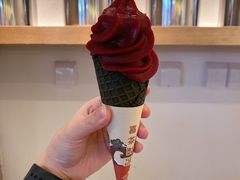 冰山杨梅脆筒-喜茶(广州天汇igc店)