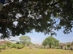 -风云岭森林公园
