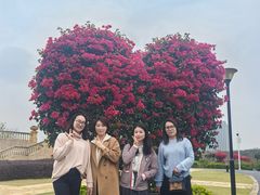 -东莞植物园