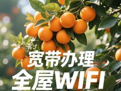 -闪电修企业手机电脑回收(西湖风景名胜区店)