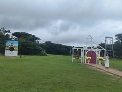 -济州森林小火车生态公园