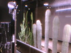 -TOP健身私教工作室(侨香店)