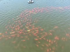 -前关湿地公园