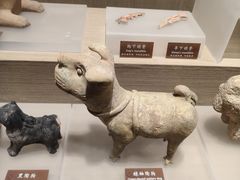 -中国农业博物馆