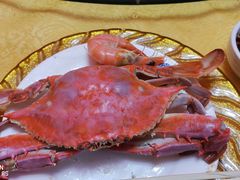-春华海鲜城(广场西苑店)