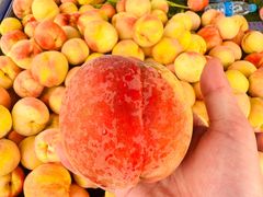 -敬亭山风景名胜区