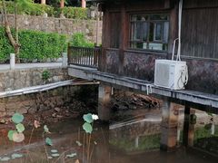 -罗浮山嘉宝田森林温泉度假酒店