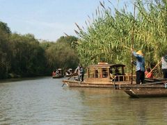 -溱湖国家湿地公园