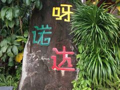-呀诺达热带雨林