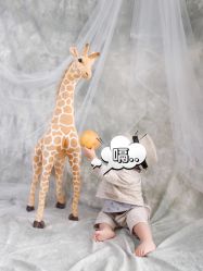 点击看大图 -童影世家儿童摄影(梨园店)