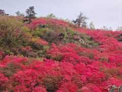 -木兰云雾山