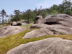 -玉苍山国家森林公园