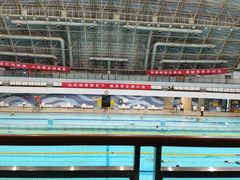 -二十一世纪饭店-游泳馆