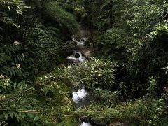 -峨眉山报国寺