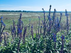 -敕勒川草原文化旅游区