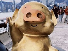 -星光大道