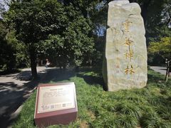 -灵谷景区