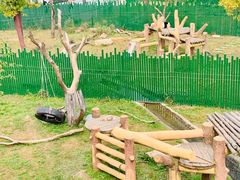 -沈阳森林动物园