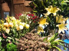 -春暖花开(西溪店)