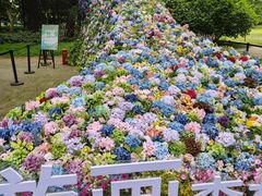 -上海共青森林公园