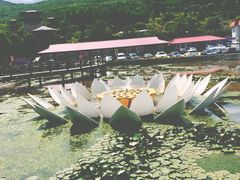 -帽儿山风景区