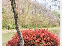 -合肥三国新城遗址公园