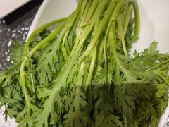 -蒙都43°9羊火锅(平庄店)