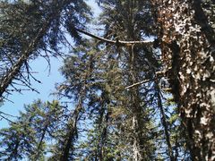 -硗碛藏寨·神木垒景区