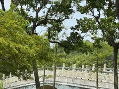 -上海海湾国家森林公园