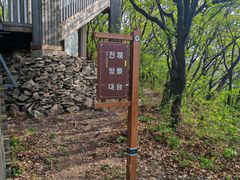 -帽儿山国家森林公园