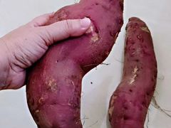 -鸿港海鲜批发市场