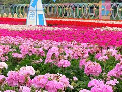 -盈香心动乐园