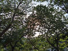 -国家图书馆·古籍馆