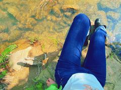 -广州白江湖森林公园