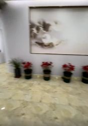-紫琪尔胸部养护中心