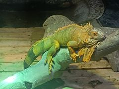 -石家庄市动物园