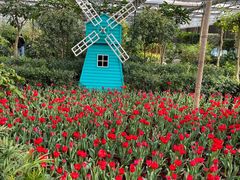 -南宫五洲植物乐园