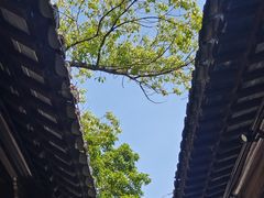 -苏州文庙(姑苏区)