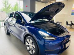 -TESLA 特斯拉(郑州正弘城体验店)