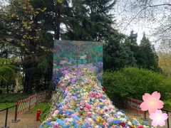 -上海共青森林公园