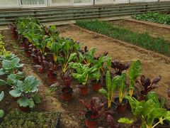 -天毓山庄·餐厅